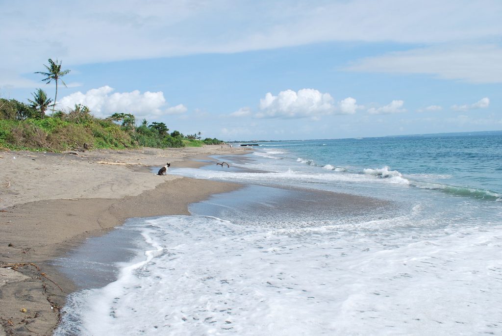 Canggu Bali Indonesia Digital Nomads Beach City